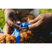 Шлейка для собак Ruffwear, Front Range®, синя - фото 12