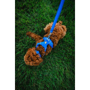 Шлейка для собак Ruffwear, Front Range®, синя - фото 16