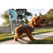 Шлейка для собак Ruffwear, Front Range®, синя - фото 17