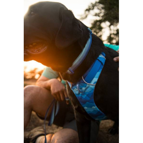 Шлейка для собак Ruffwear, Front Range, синьо-блакитний