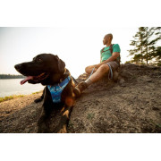 Шлейка для собак Ruffwear, Front Range, сине-голубой - фото 12
