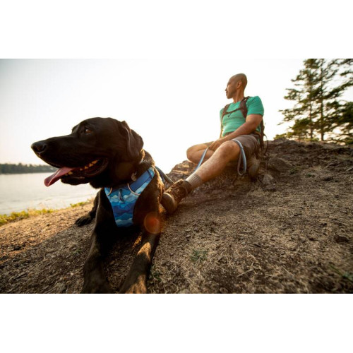 Шлейка для собак Ruffwear, Front Range, синьо-блакитний