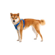 Шлейка для собак Ruffwear, Front Range, сине-голубой - фото 5