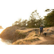 Шлейка для собак Ruffwear, Front Range, зелена - фото 10