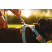 Шлейка для собак Ruffwear, Front Range, бирюзово-оранжевая - фото 11