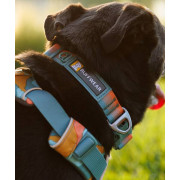 Шлейка для собак Ruffwear, Front Range, бирюзово-оранжевая - фото 12