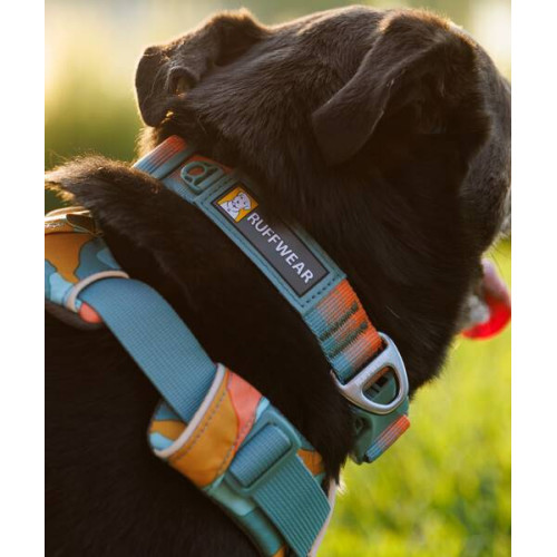 Шлейка для собак Ruffwear, Front Range, бірюзово-помаранчевий