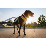 Шлейка для собак Ruffwear, Front Range, бирюзово-оранжевая - фото 13