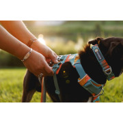 Шлейка для собак Ruffwear, Front Range, бирюзово-оранжевая - фото 14
