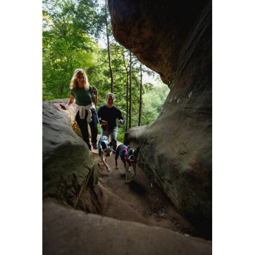 Шлейка для собак Ruffwear, Hi & Light, малинова