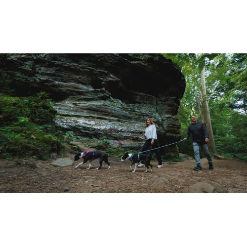 Шлейка для собак Ruffwear, Hi & Light, малинова