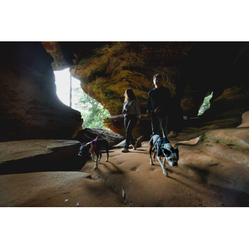 Шлейка для собак Ruffwear, Hi & Light, малинова