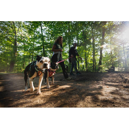 Шлейка для собак Ruffwear, Hi & Light, серая