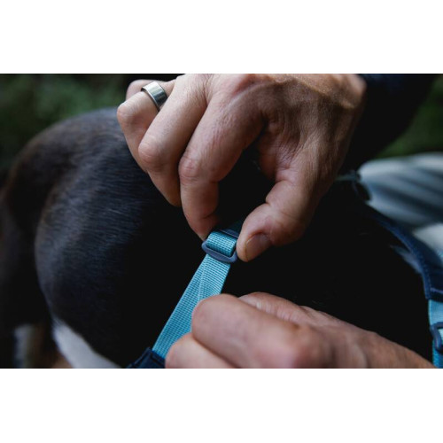 Шлейка для собак Ruffwear, Hi & Light, серая