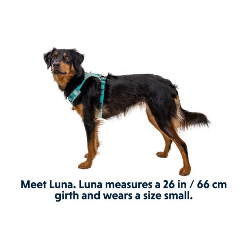 Шлейка для собак Ruffwear, Hi & Light, зелена