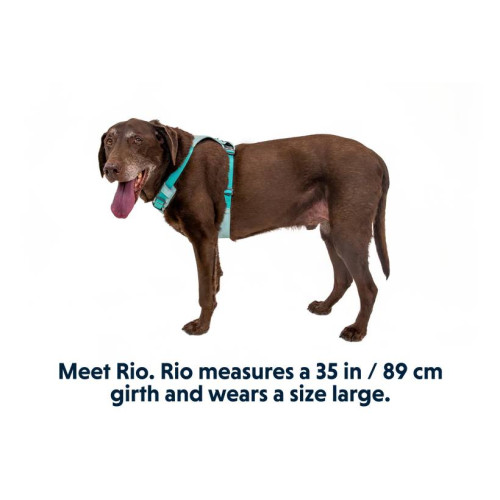 Шлейка для собак Ruffwear, Hi & Light, зелена