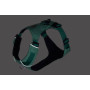 Шлейка для собак Ruffwear, Hi & Light, зелена