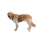 Автомобільна шлейка для собак Ruffwear, Load Up™, синя - фото 7