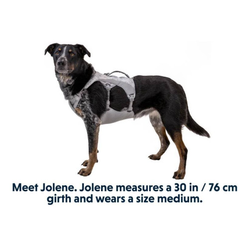 Охолоджувальна шлейка для собак Ruffwear Swamp Cooler™, сіра - фото 2