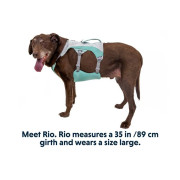 Охолоджувальна шлейка для собак Ruffwear Swamp Cooler™, зелена - фото 3