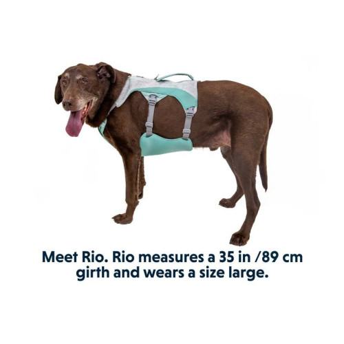 Охолоджувальна шлейка для собак Ruffwear Swamp Cooler™, зелена - фото 3
