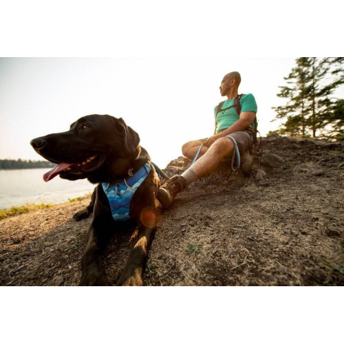 Повседневный поводок для собак Ruffwear Front Range™, голубо-синий - фото 5