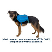 Шлейка для собак Ruffwear, Approach™, синяя - фото 2