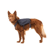 Шлейка для собак Ruffwear, Front Range™, сіра - фото 6