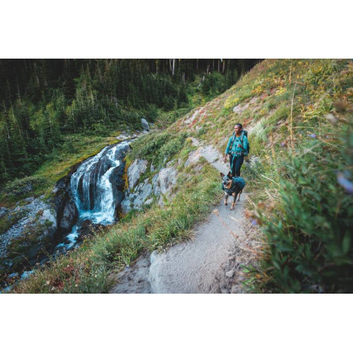 Шлейка для собак Ruffwear, Front Range™, сіра