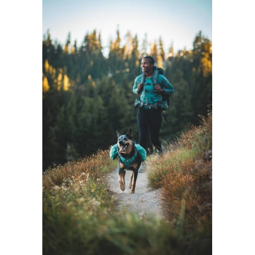 Шлейка-рюкзак для собак Ruffwear, Front Range, зелена