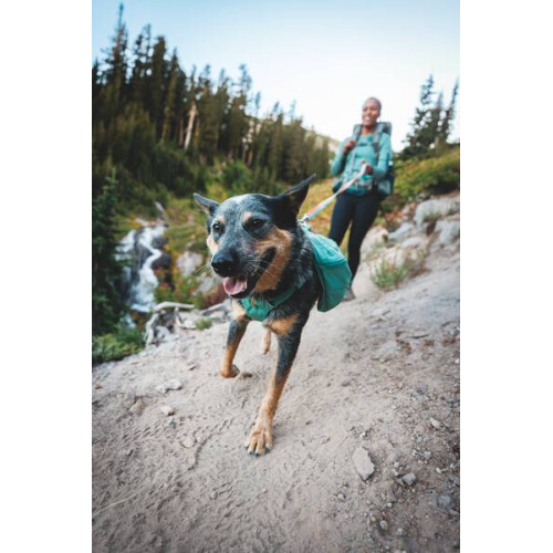 Шлейка-рюкзак для собак Ruffwear, Front Range, зелена