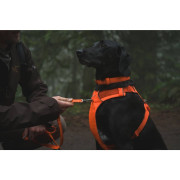 Ошейник для собак Ruffwear, Front Range, оранжевый - фото 2