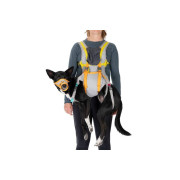 Набір для евакуації собак Ruffwear BackTrak™, сірий - фото 1