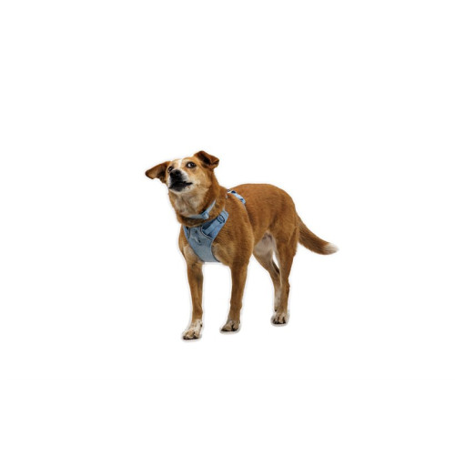 Шлея для собак Ruffwear Front Range® Flex Harness, блакитна - фото 6