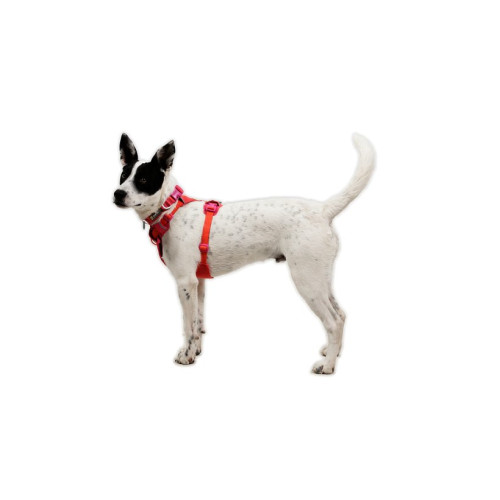 Шлея для собак Ruffwear Front Range® Flex Harness, рожево-фіолетова - фото 6