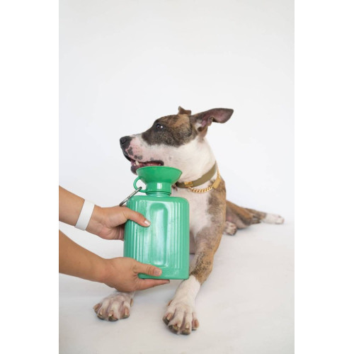 Пляшка-поїлка для собак Springland Growler 1,3 л, зелена - фото 6