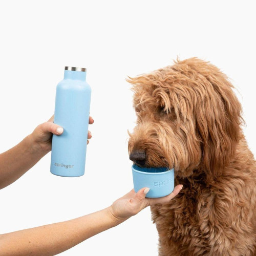 Термос с миской для собак Springland Dog & Me 710 + 240 мл, голубой - фото 5