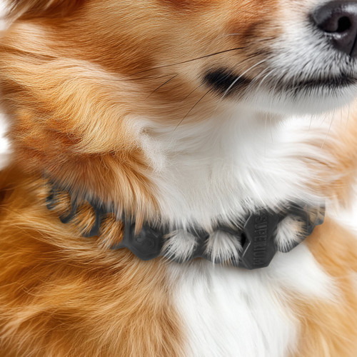 Протипаразитарний нашийник для котів та собак SUPERIUM Блокер