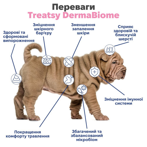 Функціональні ласощі для шкіри та травлення собак Treatsy DermaBiome, 60 шт./180 г - фото 4