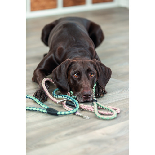 Повідок Trixie Cavo для собак 1 м рожево-пісочний