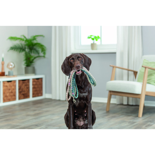 Повідок Trixie Cavo для собак 1 м рожево-пісочний