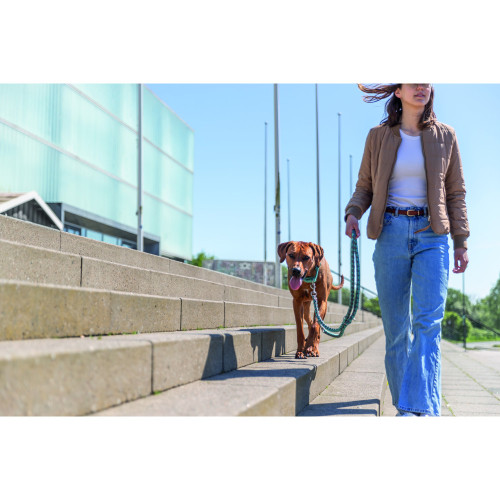 Повідець для собак Trixie Cavo регульований аква-графіт