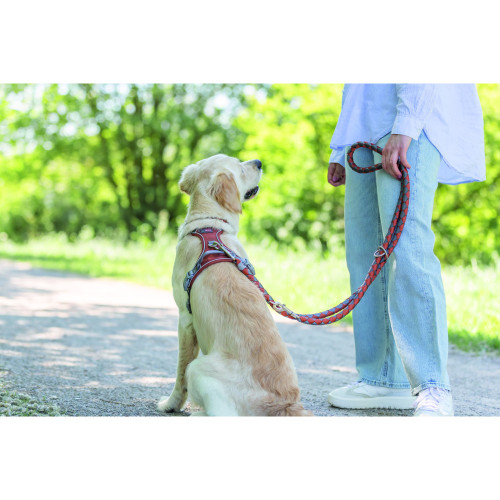 Повідець для собак Trixie Cavo регульований плетений рижий-графіт