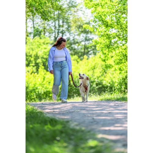 Повідець для собак Trixie Cavo регульований плетений рижий-графіт