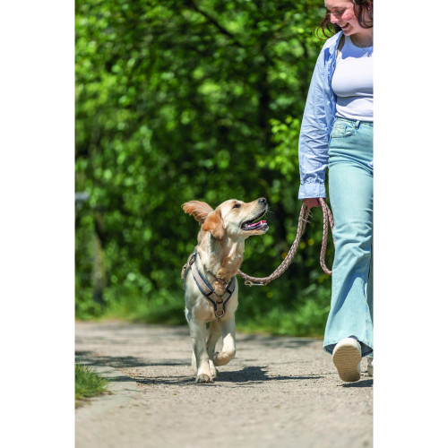 Повідець для собак Trixie Cavo регульований рожево-пісочний