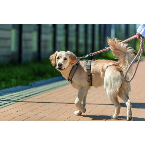 Повідець для собак Trixie Cavo регульований рожево-пісочний