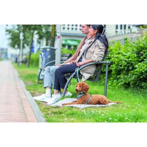 Шлея для собак Trixie CityStyle H-harness хлопковая светло-зеленая