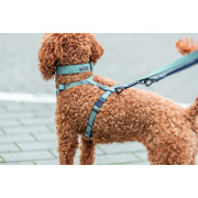 Шлея для собак Trixie CityStyle H-harness хлопковая светло-зеленая - фото 3