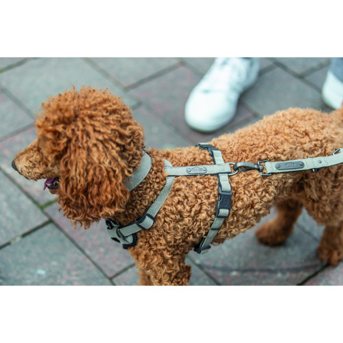 Шлея для собак Trixie CityStyle H-harness бавовняна світло-сіра