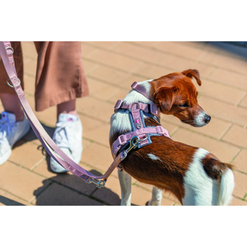 Шлея для собак Trixie Premium трекінгова рожево-сіра